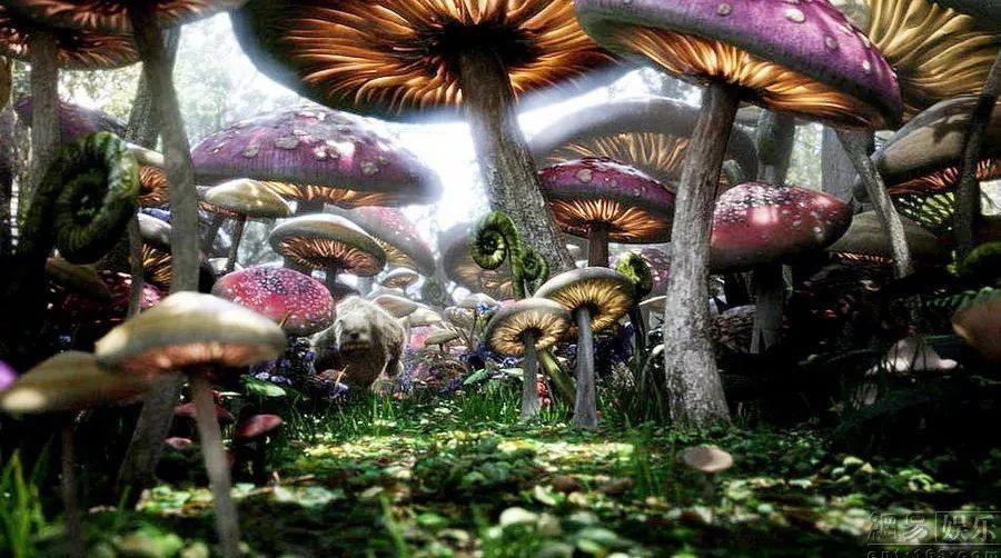 夏日恐惧症的症状有哪些？游戏画面